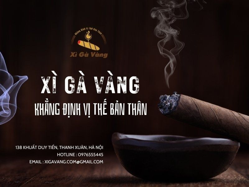 Liên hệ ngay Xì Gà Vàng để đặt mua